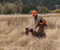 El adiestramiento del perro en función de los métodos de caza